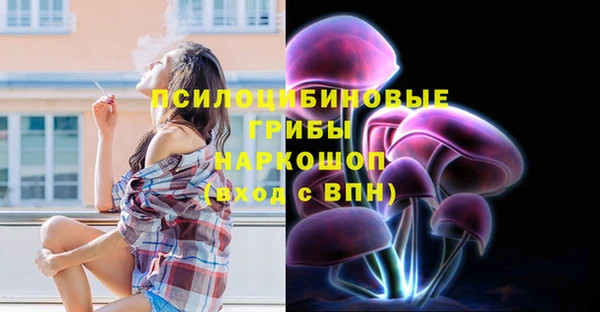 мескалин Надым