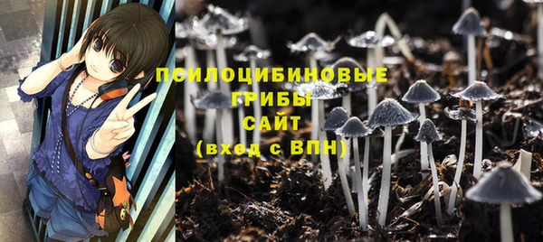 таблы Нея