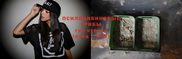 ГАЛЛЮЦИНОГЕННЫЕ ГРИБЫ Наволоки
