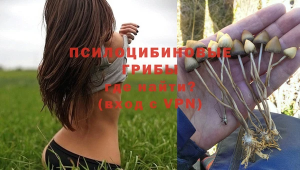 Альфа ПВП Нефтегорск