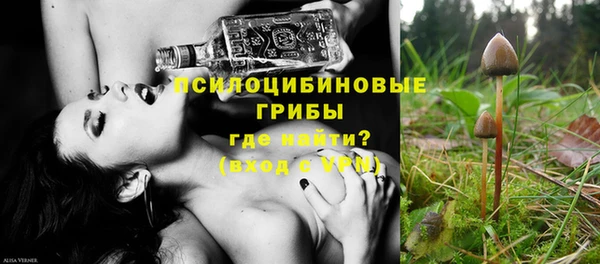 PSILOCYBIN Нефтекумск