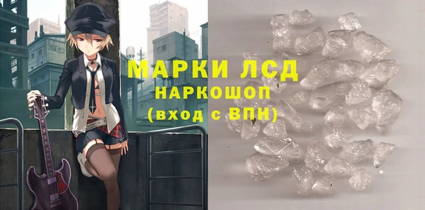 гидра Белая Холуница