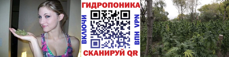 hydra ССЫЛКА  где продают наркотики  Суоярви  Конопля LSD WEED 